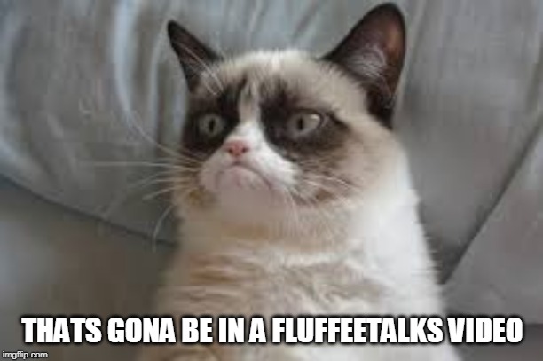 Grumpy cat | THATS GONA BE IN A FLUFFEETALKS VIDEO | image tagged in grumpy cat | made w/ Imgflip meme maker