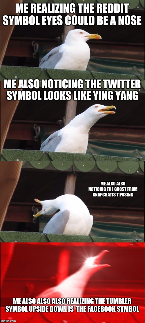 Inhaling Seagull | ME REALIZING THE REDDIT SYMBOL EYES COULD BE A NOSE; ME ALSO NOTICING THE TWITTER SYMBOL LOOKS LIKE YING YANG; ME ALSO ALSO NOTICING THE GHOST FROM SNAPCHATIS T POSING; ME ALSO ALSO ALSO REALIZING THE TUMBLER SYMBOL UPSIDE DOWN IS  THE FACEBOOK SYMBOL | image tagged in memes,inhaling seagull | made w/ Imgflip meme maker