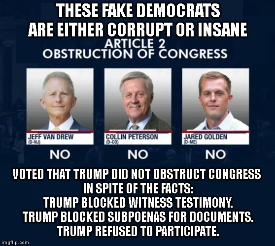 OMG! - Flat-Earth Believers are Less Stupid than these Men | THESE FAKE DEMOCRATS ARE EITHER CORRUPT OR INSANE; VOTED THAT TRUMP DID NOT OBSTRUCT CONGRESS 
IN SPITE OF THE FACTS:
TRUMP BLOCKED WITNESS TESTIMONY.
TRUMP BLOCKED SUBPOENAS FOR DOCUMENTS.
TRUMP REFUSED TO PARTICIPATE. | image tagged in trump impeachment,traitors,liars,government corruption,corruption,corrupt | made w/ Imgflip meme maker