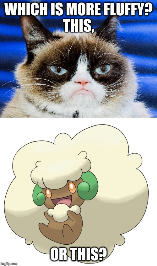 grumpy cat vs whimsicott in fluffiness | WHICH IS MORE FLUFFY?
THIS, OR THIS? | image tagged in grumpy cat,pokemon | made w/ Imgflip meme maker