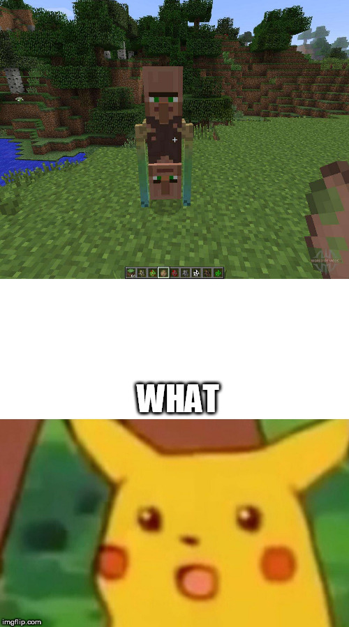 not sure what is going on here | WHAT | image tagged in memes,surprised pikachu,minecraft | made w/ Imgflip meme maker