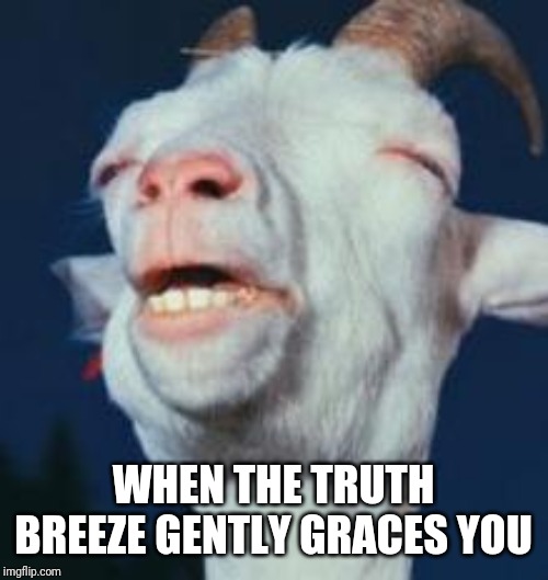 goat | WHEN THE TRUTH BREEZE GENTLY GRACES YOU | image tagged in goat | made w/ Imgflip meme maker