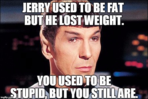 Condescending Spock | JERRY USED TO BE FAT 
BUT HE LOST WEIGHT. YOU USED TO BE STUPID, BUT YOU STILL ARE. | image tagged in condescending spock | made w/ Imgflip meme maker