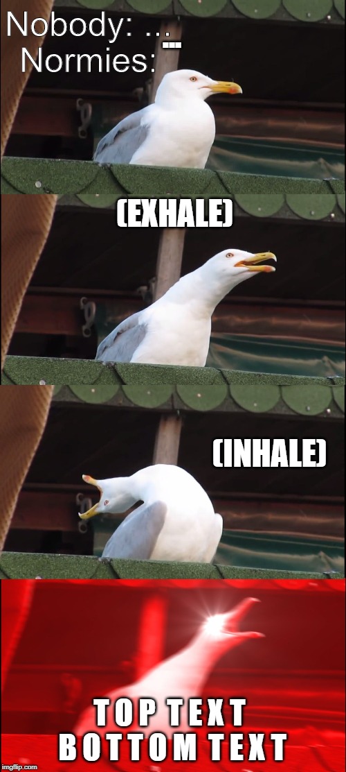 Inhaling Seagull | Nobody: ...
Normies:; ... (EXHALE); (INHALE); T O P  T E X T  B O T T O M  T E X T | image tagged in memes,inhaling seagull | made w/ Imgflip meme maker