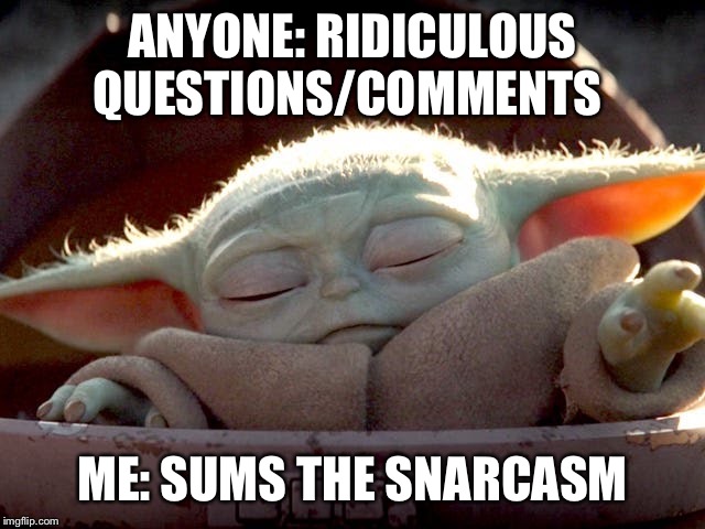 Baby Yoda | ANYONE: RIDICULOUS QUESTIONS/COMMENTS; ME: SUMS THE SNARCASM | image tagged in baby yoda | made w/ Imgflip meme maker