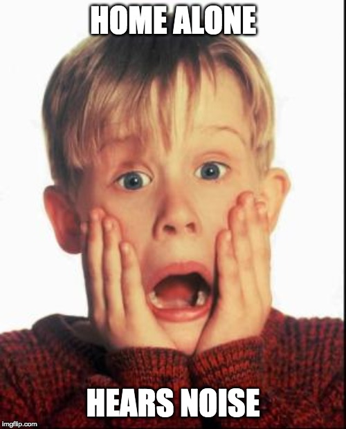 Home Alone Kid  | HOME ALONE; HEARS NOISE | image tagged in home alone kid | made w/ Imgflip meme maker