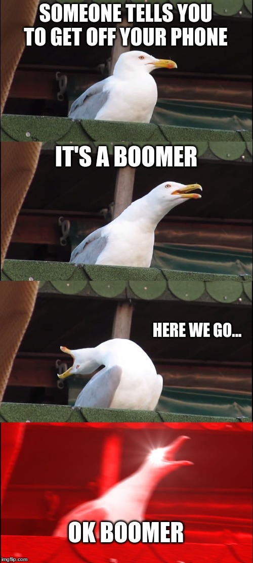 Inhaling Seagull | SOMEONE TELLS YOU TO GET OFF YOUR PHONE; IT'S A BOOMER; HERE WE GO... OK BOOMER | image tagged in memes,inhaling seagull | made w/ Imgflip meme maker