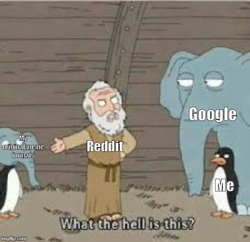 What the hell is this? | Google; My original meme formats; Reddit; Me | image tagged in what the hell is this | made w/ Imgflip meme maker