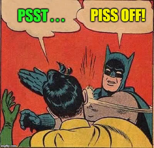 Batman Slapping Robin Meme | PSST . . . PISS OFF! | image tagged in memes,batman slapping robin | made w/ Imgflip meme maker