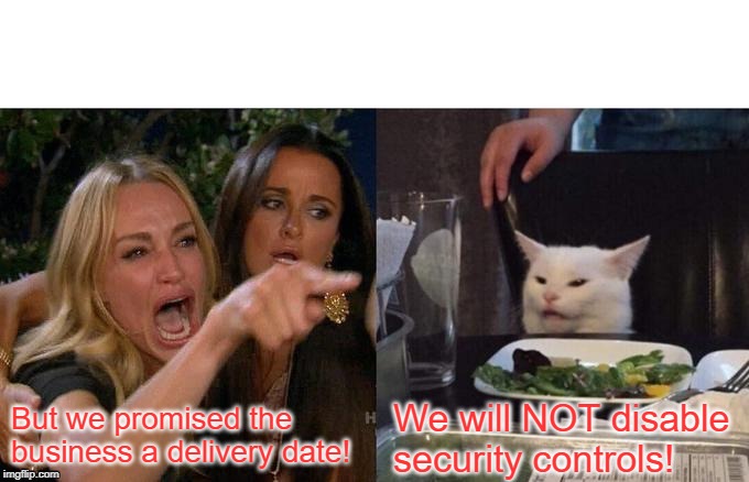 Woman Yelling At Cat | But we promised the business a delivery date! We will NOT disable security controls! | image tagged in memes,woman yelling at cat,cybersecurity,information security,infosec | made w/ Imgflip meme maker