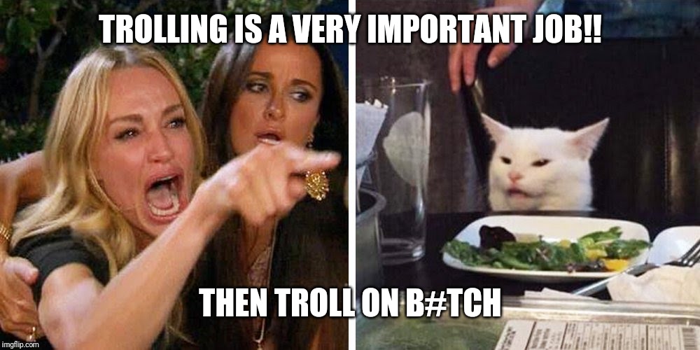 Smudge the cat | TROLLING IS A VERY IMPORTANT JOB!! THEN TROLL ON B#TCH | image tagged in smudge the cat | made w/ Imgflip meme maker