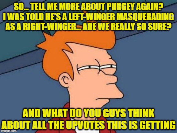 Calling out purgey memes. Seen a lot of his stuff lately. Guess impeachment has him triggered. I'm trying to get him banned. | SO... TELL ME MORE ABOUT PURGEY AGAIN? I WAS TOLD HE'S A LEFT-WINGER MASQUERADING AS A RIGHT-WINGER... ARE WE REALLY SO SURE? AND WHAT DO YOU GUYS THINK ABOUT ALL THE UPVOTES THIS IS GETTING | image tagged in memes,futurama fry,nazi,neo-nazis,nazis,we don't do that here | made w/ Imgflip meme maker