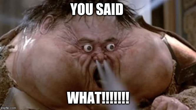 YOU SAID; WHAT!!!!!!! | image tagged in u mad bro | made w/ Imgflip meme maker