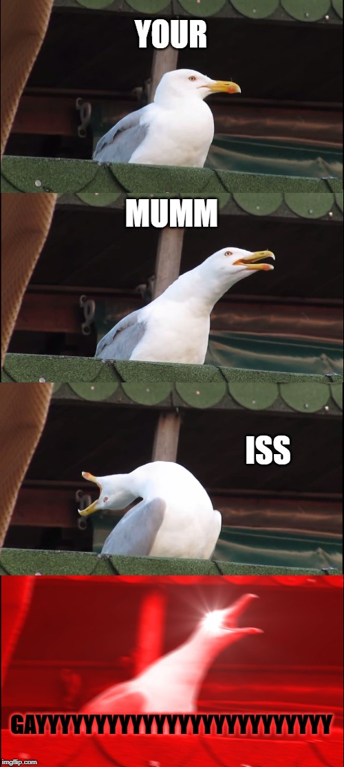 Inhaling Seagull | YOUR; MUMM; ISS; GAYYYYYYYYYYYYYYYYYYYYYYYYY | image tagged in memes,inhaling seagull | made w/ Imgflip meme maker