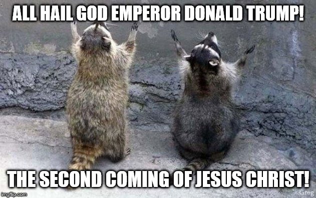 Raccoon Worshipping | ALL HAIL GOD EMPEROR DONALD TRUMP! THE SECOND COMING OF JESUS CHRIST! | image tagged in raccoon worshipping | made w/ Imgflip meme maker