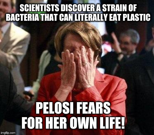 Nancy Pelosi Feigning Tears | SCIENTISTS DISCOVER A STRAIN OF BACTERIA THAT CAN LITERALLY EAT PLASTIC; PELOSI FEARS FOR HER OWN LIFE! | image tagged in nancy pelosi feigning tears | made w/ Imgflip meme maker