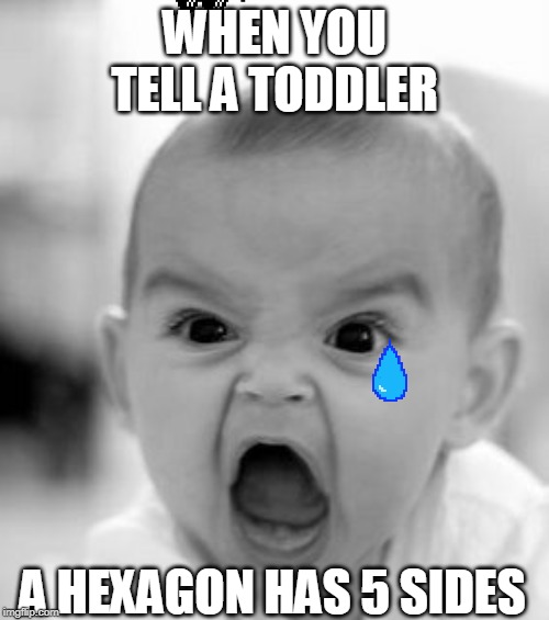 Angry Baby Meme | WHEN YOU TELL A TODDLER; A HEXAGON HAS 5 SIDES | image tagged in memes,angry baby | made w/ Imgflip meme maker