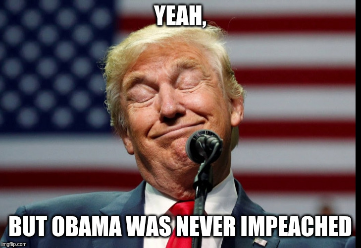 Donald Smirk | YEAH, BUT OBAMA WAS NEVER IMPEACHED | image tagged in trump obama | made w/ Imgflip meme maker