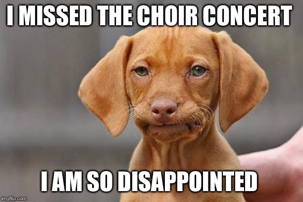 Dissapointed puppy | I MISSED THE CHOIR CONCERT; I AM SO DISAPPOINTED | image tagged in dissapointed puppy | made w/ Imgflip meme maker