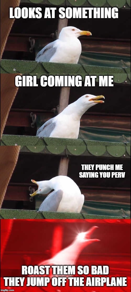 Inhaling Seagull | LOOKS AT SOMETHING; GIRL COMING AT ME; THEY PUNCH ME SAYING YOU PERV; ROAST THEM SO BAD THEY JUMP OFF THE AIRPLANE | image tagged in memes,inhaling seagull | made w/ Imgflip meme maker