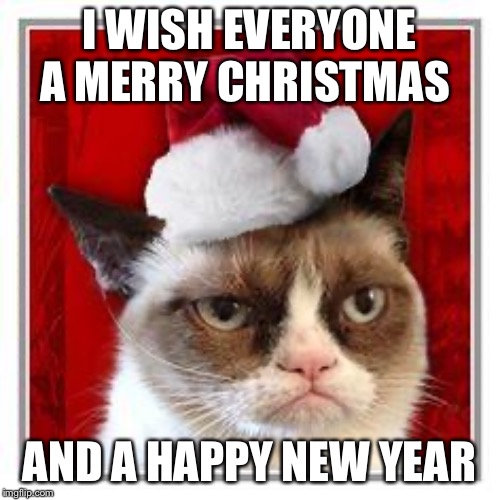 merry christmas | I WISH EVERYONE A MERRY CHRISTMAS; AND A HAPPY NEW YEAR | image tagged in merry christmas | made w/ Imgflip meme maker