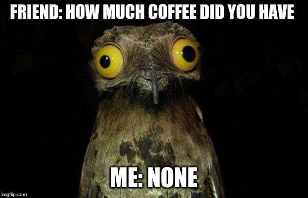 Weird Stuff I Do Potoo | FRIEND: HOW MUCH COFFEE DID YOU HAVE; ME: NONE | image tagged in memes,weird stuff i do potoo | made w/ Imgflip meme maker