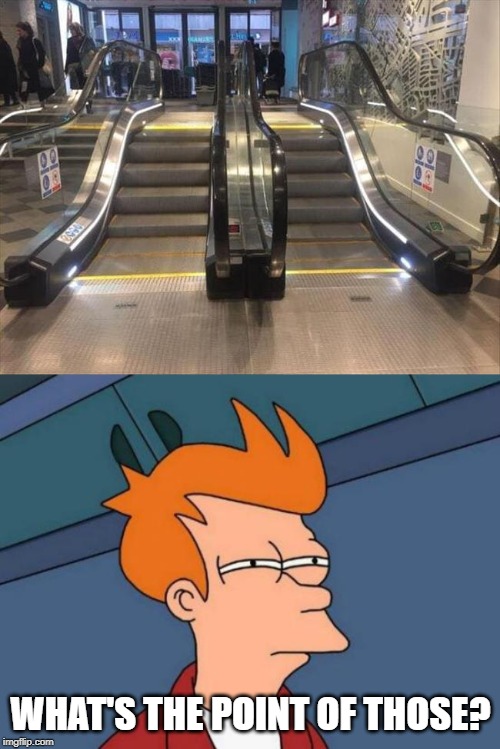 WHAT'S THE POINT OF THOSE? | image tagged in memes,futurama fry | made w/ Imgflip meme maker