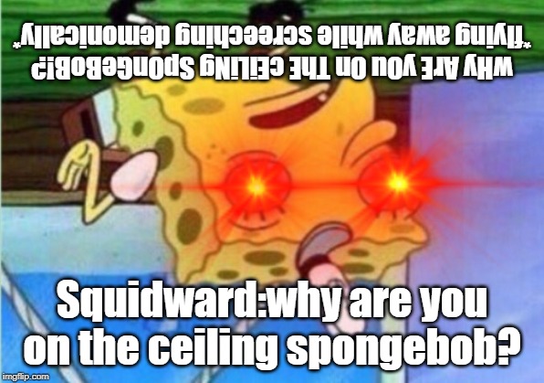 wHy ArE yOu On ThE cEiLiNg SpOnGeBoB!? *flying away while screeching demonically*; Squidward:why are you on the ceiling spongebob? | image tagged in mocking spongebob | made w/ Imgflip meme maker