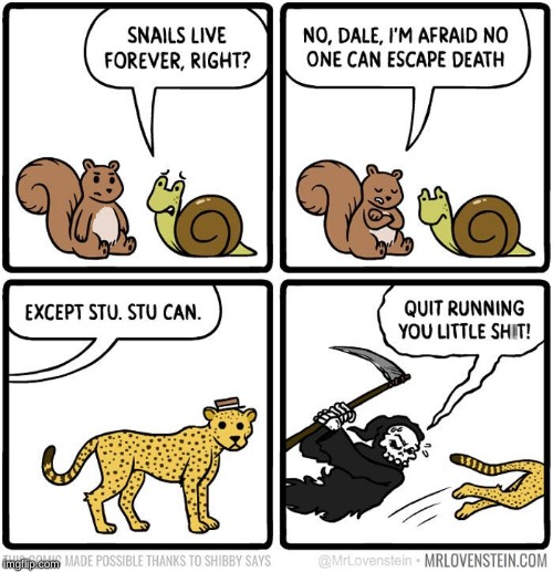 cheetahs escape death | made w/ Imgflip meme maker