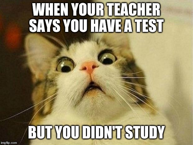 Scared Cat | WHEN YOUR TEACHER SAYS YOU HAVE A TEST; BUT YOU DIDN'T STUDY | image tagged in memes,scared cat | made w/ Imgflip meme maker