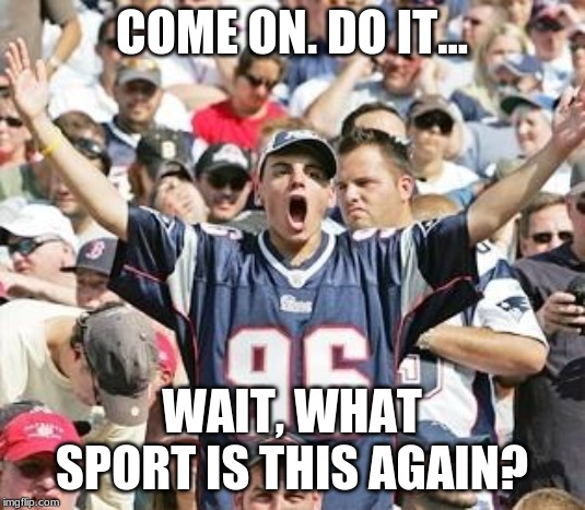 Sports Fans | COME ON. DO IT... WAIT, WHAT SPORT IS THIS AGAIN? | image tagged in sports fans | made w/ Imgflip meme maker