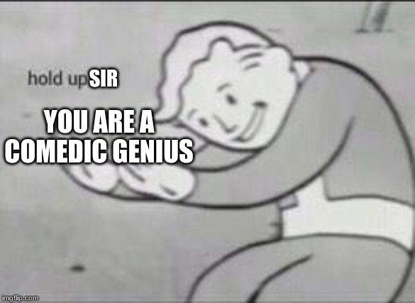 Fallout Hold Up | SIR YOU ARE A COMEDIC GENIUS | image tagged in fallout hold up | made w/ Imgflip meme maker