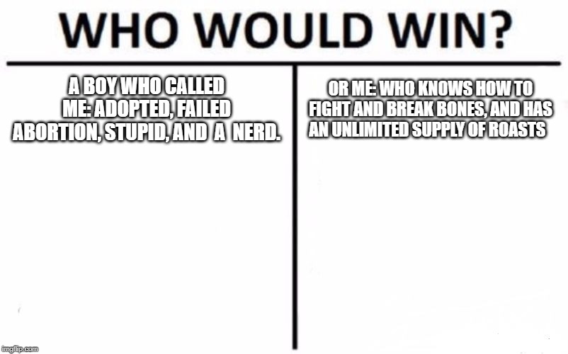 Who Would Win? | A BOY WHO CALLED ME: ADOPTED, FAILED ABORTION, STUPID, AND  A  NERD. OR ME: WHO KNOWS HOW TO FIGHT AND BREAK BONES, AND HAS AN UNLIMITED SUPPLY OF ROASTS | image tagged in memes,who would win | made w/ Imgflip meme maker