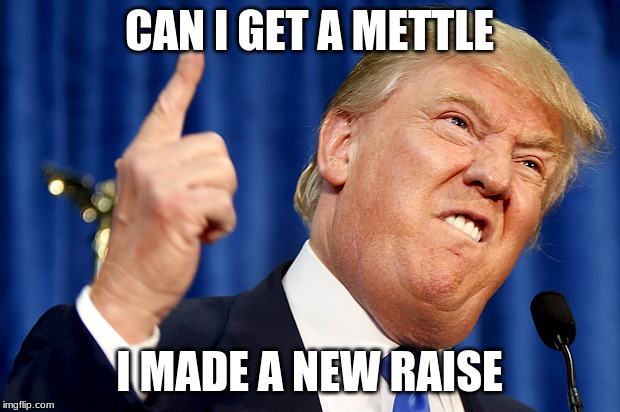 Donald Trump | CAN I GET A METTLE; I MADE A NEW RAISE | image tagged in donald trump | made w/ Imgflip meme maker