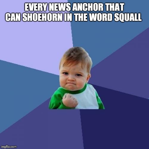 Success Kid Meme | EVERY NEWS ANCHOR THAT CAN SHOEHORN IN THE WORD SQUALL | image tagged in memes,success kid | made w/ Imgflip meme maker