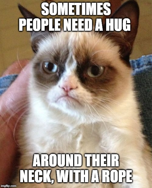 Grumpy Cat | SOMETIMES PEOPLE NEED A HUG; AROUND THEIR NECK, WITH A ROPE | image tagged in memes,grumpy cat | made w/ Imgflip meme maker