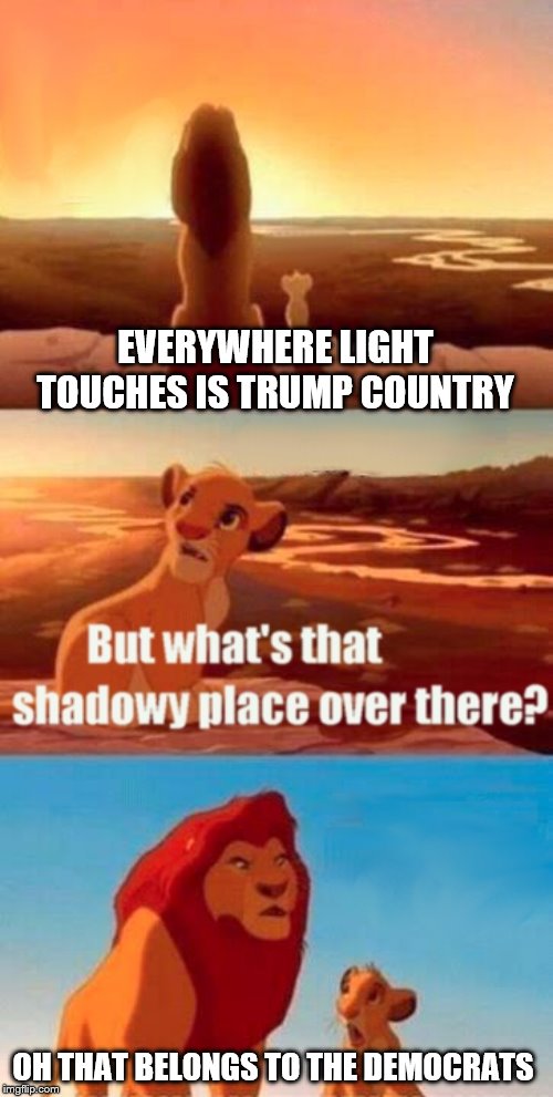 Simba Shadowy Place Meme |  EVERYWHERE LIGHT TOUCHES IS TRUMP COUNTRY; OH THAT BELONGS TO THE DEMOCRATS | image tagged in memes,simba shadowy place | made w/ Imgflip meme maker