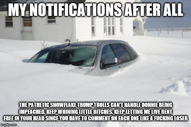 Snow storm Large | MY NOTIFICATIONS AFTER ALL THE PATHETIC SNOWFLAKE TRUMP TROLLS CAN'T HANDLE DONNIE BEING IMPEACHED. KEEP WHINING LITTLE B**CHES. KEEP LETTIN | image tagged in snow storm large | made w/ Imgflip meme maker