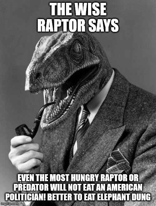 classy raptor | THE WISE RAPTOR SAYS; EVEN THE MOST HUNGRY RAPTOR OR PREDATOR WILL NOT EAT AN AMERICAN POLITICIAN! BETTER TO EAT ELEPHANT DUNG | image tagged in classy raptor | made w/ Imgflip meme maker