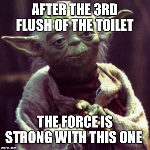 Force is strong | AFTER THE 3RD FLUSH OF THE TOILET; THE FORCE IS STRONG WITH THIS ONE | image tagged in force is strong | made w/ Imgflip meme maker