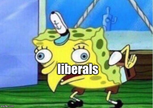 Mocking Spongebob Meme | liberals | image tagged in memes,mocking spongebob | made w/ Imgflip meme maker