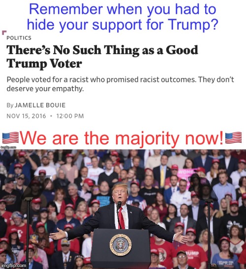 Trump 2020! | image tagged in maga | made w/ Imgflip meme maker