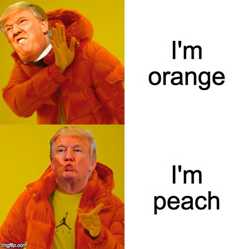 Orange you glad I didn't say peach. | I'm orange; I'm peach | image tagged in memes,drake hotline bling,impeach,donald trump approves,funny,dank memes | made w/ Imgflip meme maker