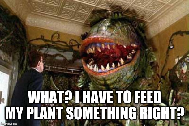 little shop of horrors | WHAT? I HAVE TO FEED MY PLANT SOMETHING RIGHT? | image tagged in little shop of horrors | made w/ Imgflip meme maker