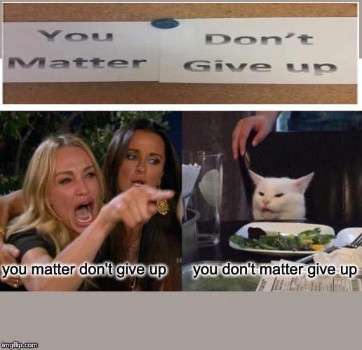 Woman Yelling At Cat Meme | you matter don't give up; you don't matter give up | image tagged in memes,woman yelling at cat | made w/ Imgflip meme maker