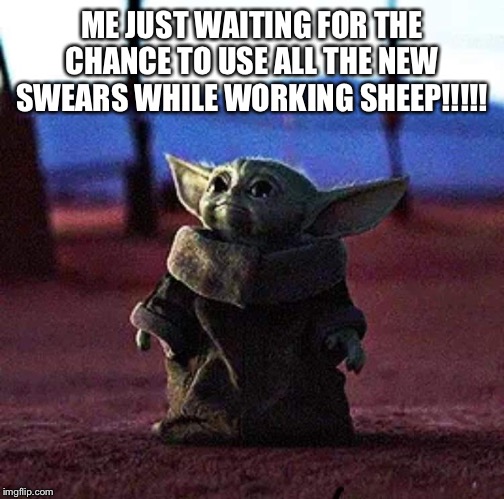 Baby Yoda | ME JUST WAITING FOR THE CHANCE TO USE ALL THE NEW SWEARS WHILE WORKING SHEEP!!!!! | image tagged in baby yoda | made w/ Imgflip meme maker