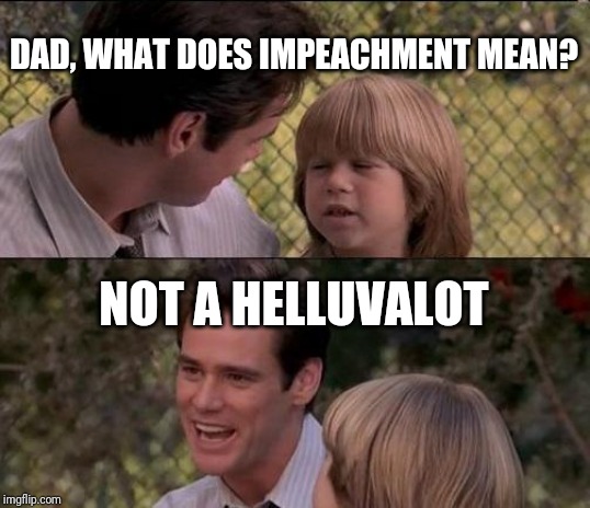 That's Just Something X Say Meme | DAD, WHAT DOES IMPEACHMENT MEAN? NOT A HELLUVALOT | image tagged in memes,thats just something x say | made w/ Imgflip meme maker
