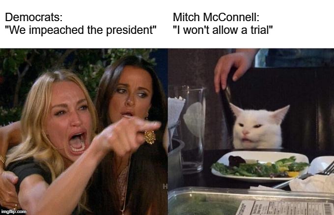 Impeachment drama | Democrats:
"We impeached the president"; Mitch McConnell:
"I won't allow a trial" | image tagged in memes,woman yelling at cat,political meme | made w/ Imgflip meme maker