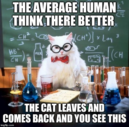 Smart cat be like | THE AVERAGE HUMAN THINK THERE BETTER; THE CAT LEAVES AND COMES BACK AND YOU SEE THIS | image tagged in memes,chemistry cat | made w/ Imgflip meme maker