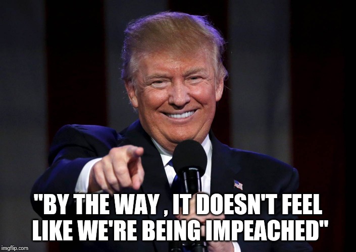 A Standing Ovation at the Rally last night | "BY THE WAY , IT DOESN'T FEEL
 LIKE WE'RE BEING IMPEACHED" | image tagged in trump laughing at haters,trump impeachment,let me create one thing,monster,popularity,winning | made w/ Imgflip meme maker